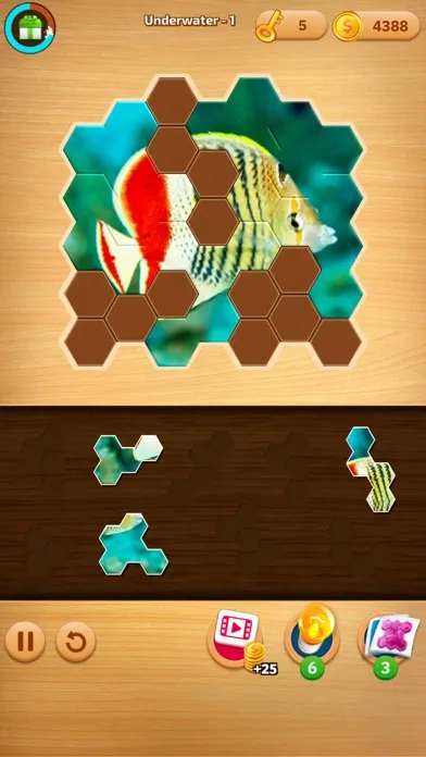 Jigsaw Puzzles Hexa Ⓞ Screenshots