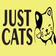 Just Cats Life Just Cats Life