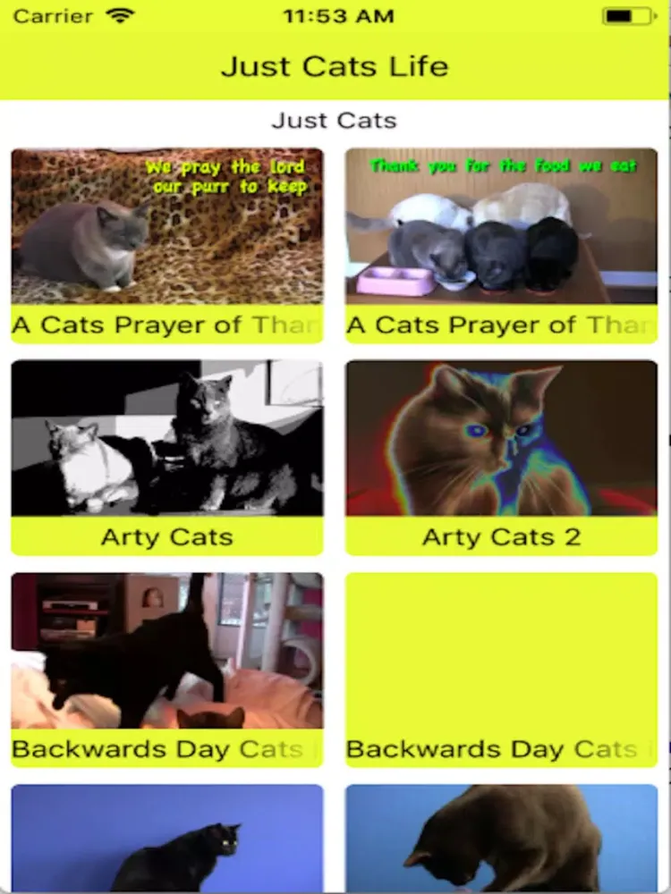 تصاویر Just Cats Life iPad 