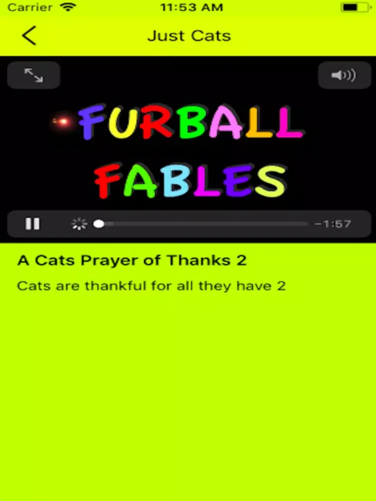 تصاویر Just Cats Life iPad 