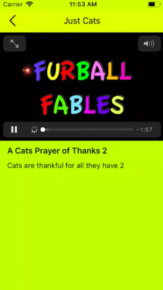 تصاویر Just Cats Life