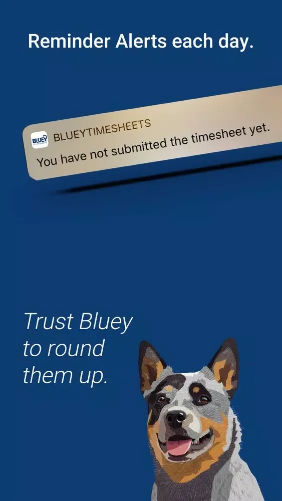 Bluey Timesheets应用截图