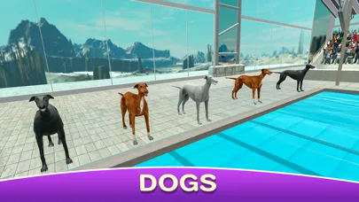 Tangkapan skrin Dog Swimming Race