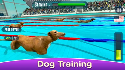 Tangkapan skrin Dog Swimming Race