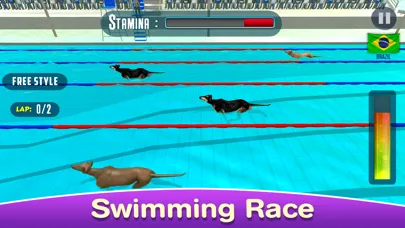 Tangkapan skrin Dog Swimming Race