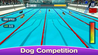 Tangkapan skrin Dog Swimming Race