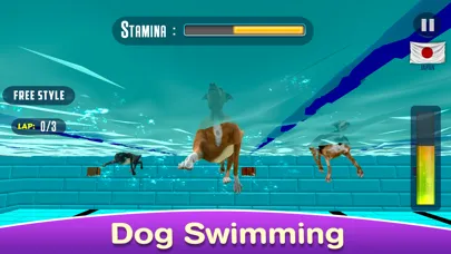 Tangkapan skrin Dog Swimming Race