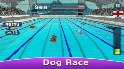 Tangkapan skrin Dog Swimming Race