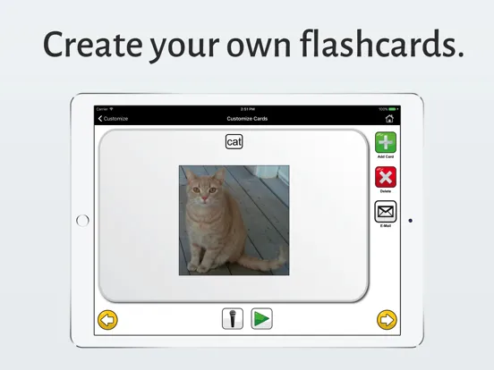 Zrzuty ekranu Speech Cards Lite iPad 