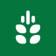 JioKrishi: Smart Farming Guide