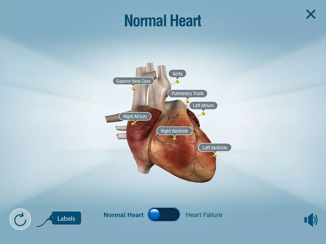 Ảnh chụp màn hình của HeartMate 3™ LVAD AR app iPad 