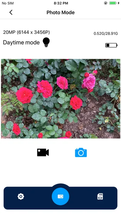 Wildlife Camera 4K Screenshots