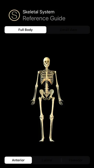 صور Human Skeleton Reference Guide