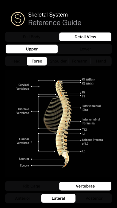 Human Skeleton Reference Guide应用截图