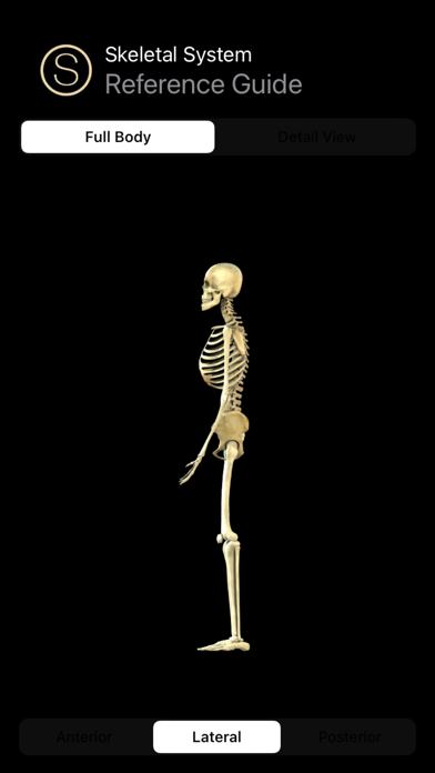 Human Skeleton Reference Guide应用截图