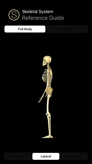 صور Human Skeleton Reference Guide