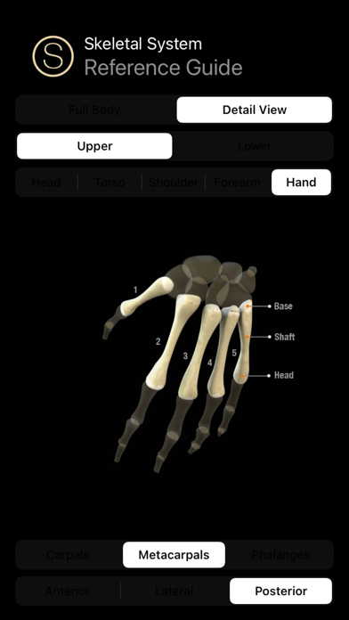 Human Skeleton Reference Guide应用截图