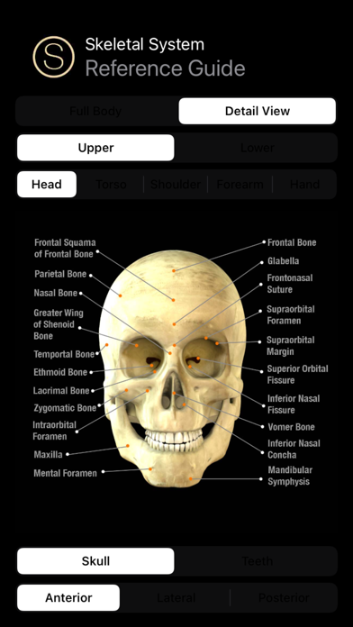 Human Skeleton Reference Guide应用截图