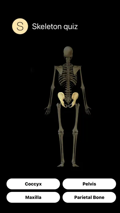 Human Skeleton Quiz 스크린샷