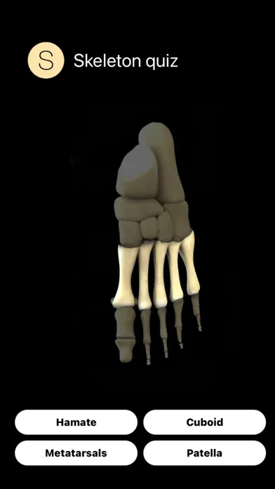 Human Skeleton Quiz 스크린샷