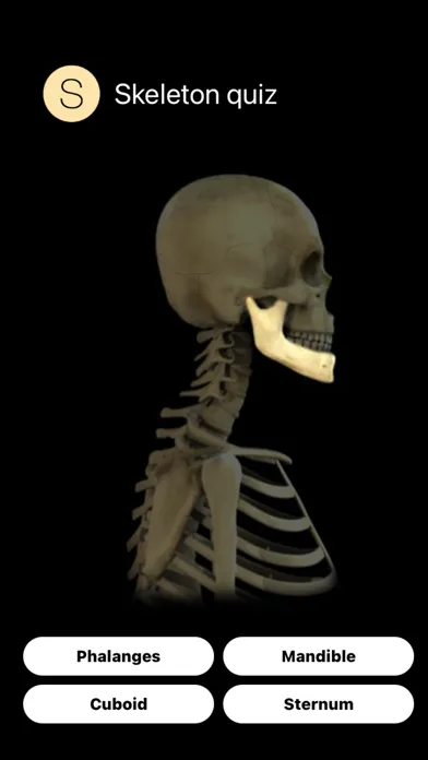 Human Skeleton Quiz 스크린샷