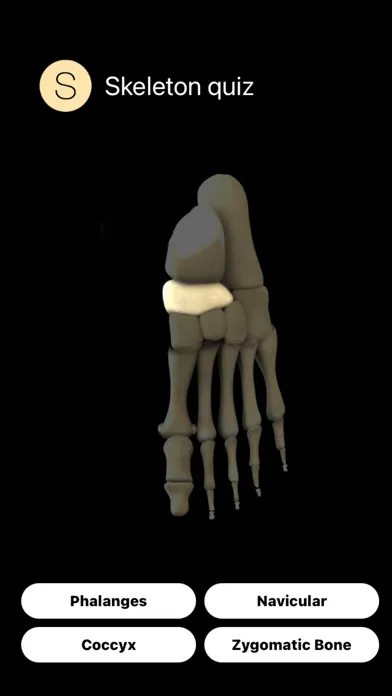 Human Skeleton Quiz 스크린샷