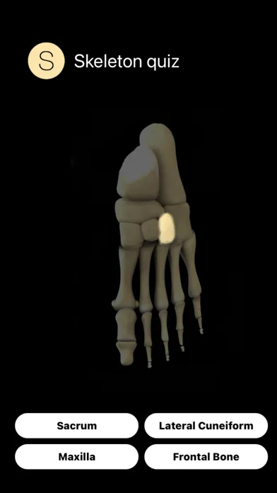 Human Skeleton Quiz 스크린샷