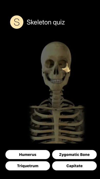 Human Skeleton Quiz 스크린샷
