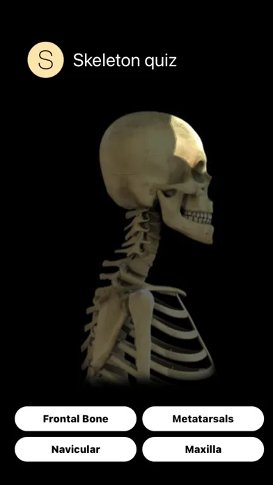 Human Skeleton Quiz 스크린샷
