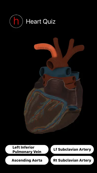 تصاویر Human Heart Anatomy Quiz