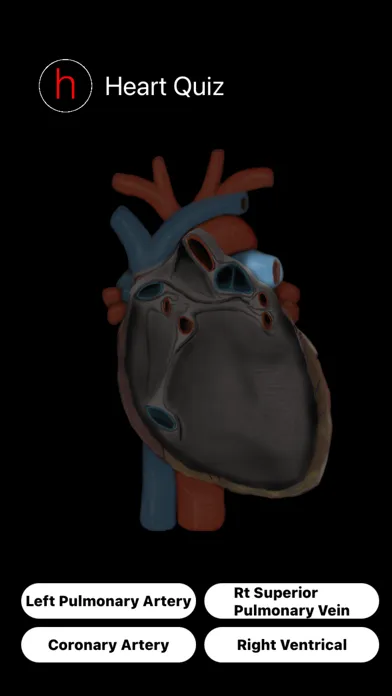 تصاویر Human Heart Anatomy Quiz