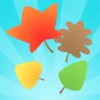 Fall Leaf Fall Fall Leaf Fall