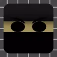 Ninja Descent