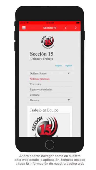 Capturas de tela do Sección 15