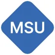 Mobile Security User