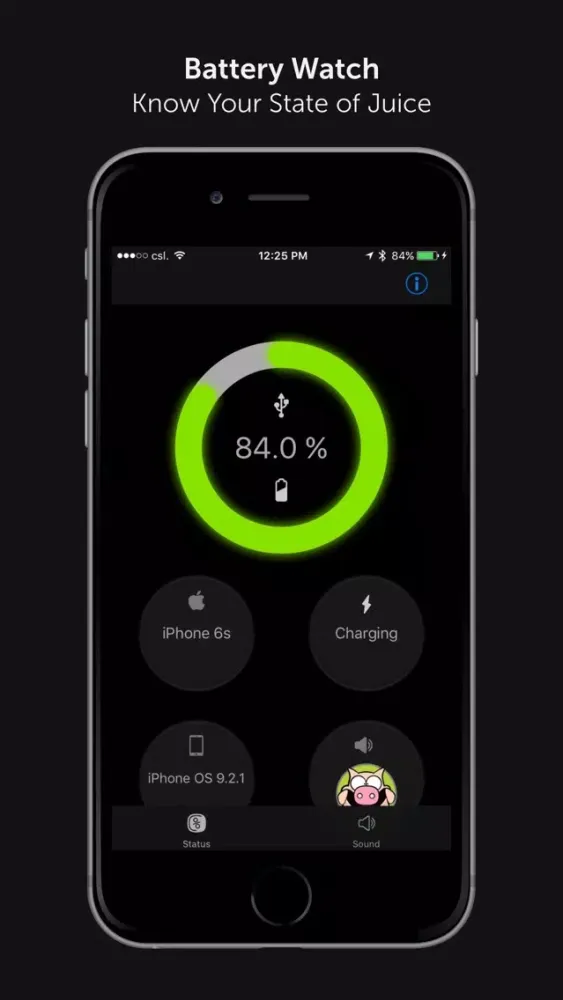 Screenshot di Battery Watch