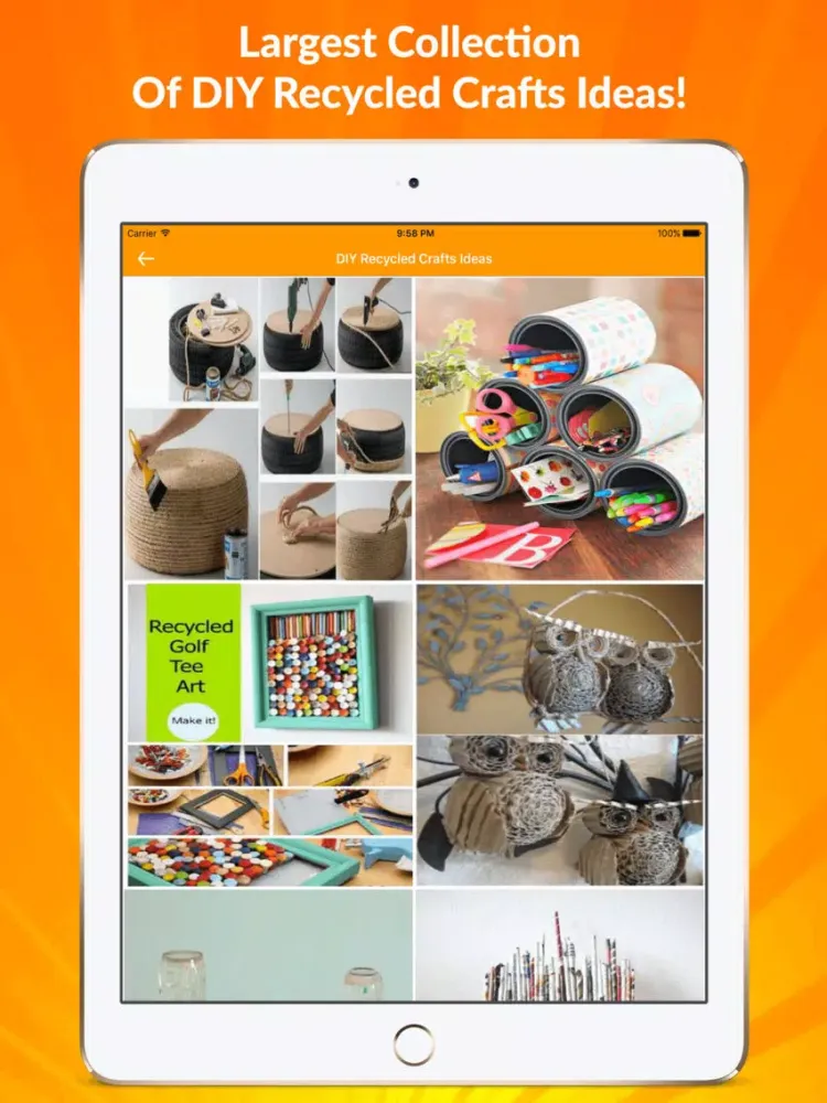DIY Recycled Crafts Ideas iPad  스크린샷