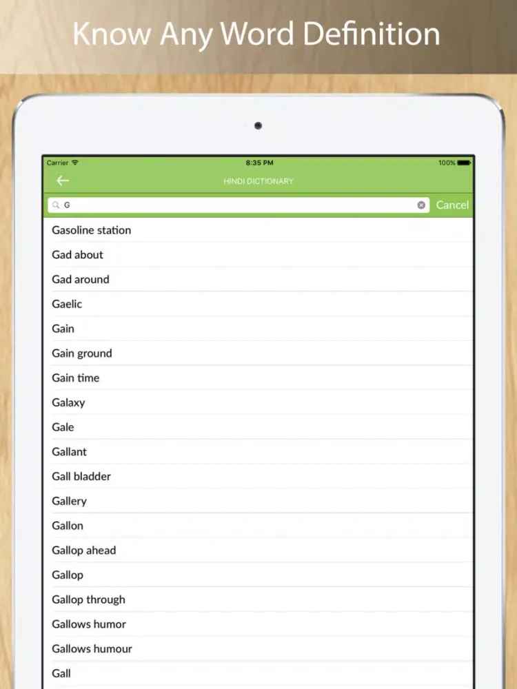 Hindi Dictionary iPad  سکرین شاٹس