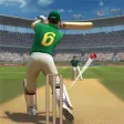 Cricket Match Multiplayer Game