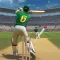 Cricket Match Multiplayer Game