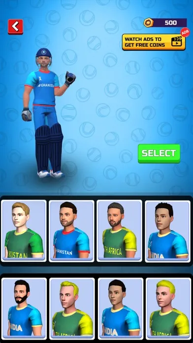 Cricket Match Multiplayer Game স্ক্রিনশট