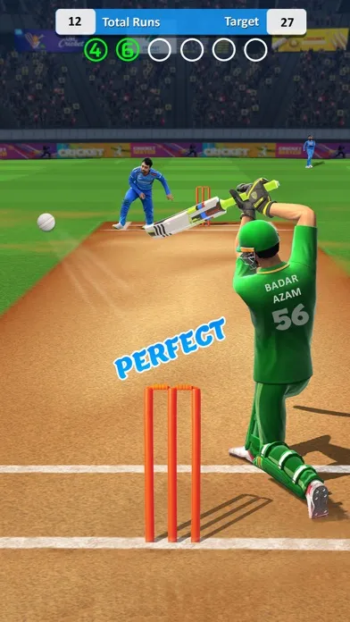 Cricket Match Multiplayer Game স্ক্রিনশট