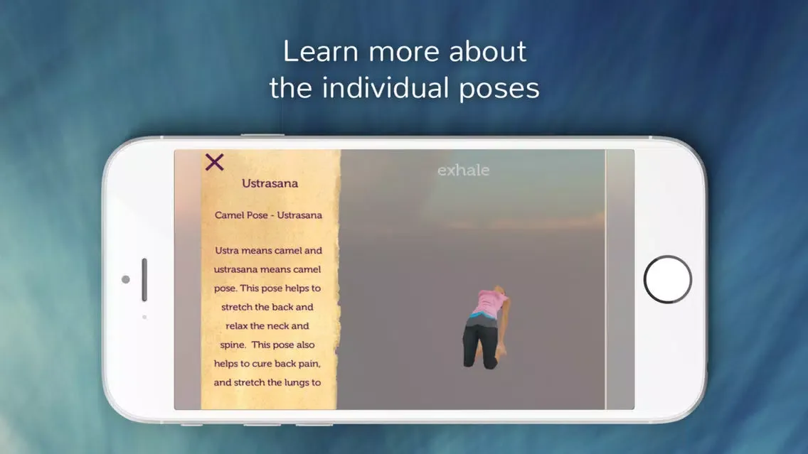 Yoga for Back Pain Relief Screenshots
