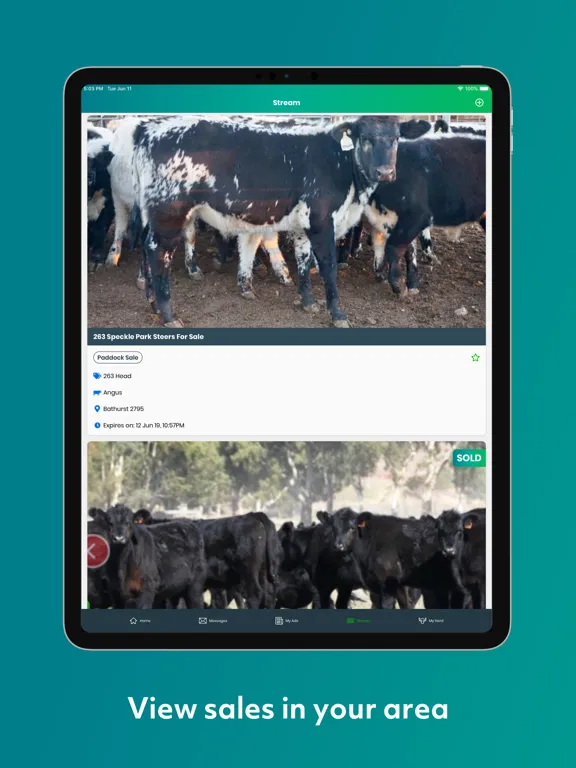 The Herd iPad  স্ক্রিনশট
