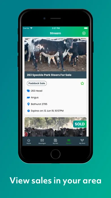 The Herd স্ক্রিনশট
