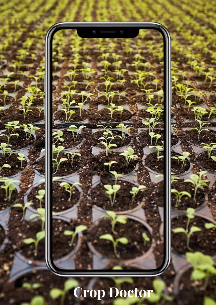 Agri Problem - Crop Doctor应用截图