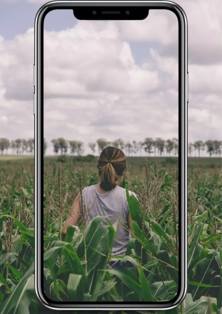Agri Problem - Crop Doctor应用截图