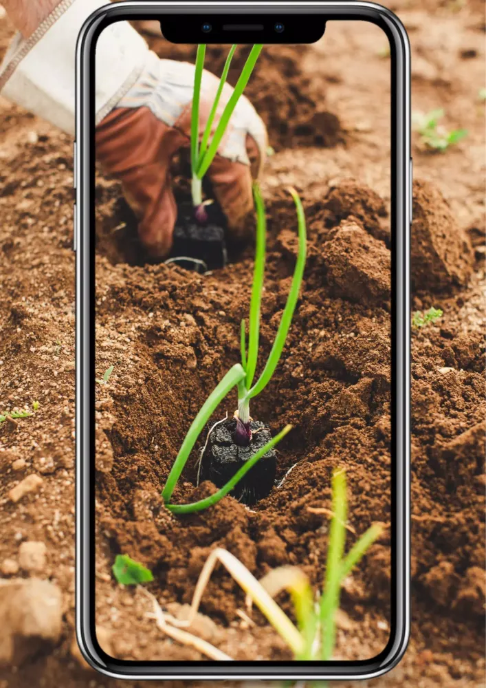 Agri Problem - Crop Doctor应用截图