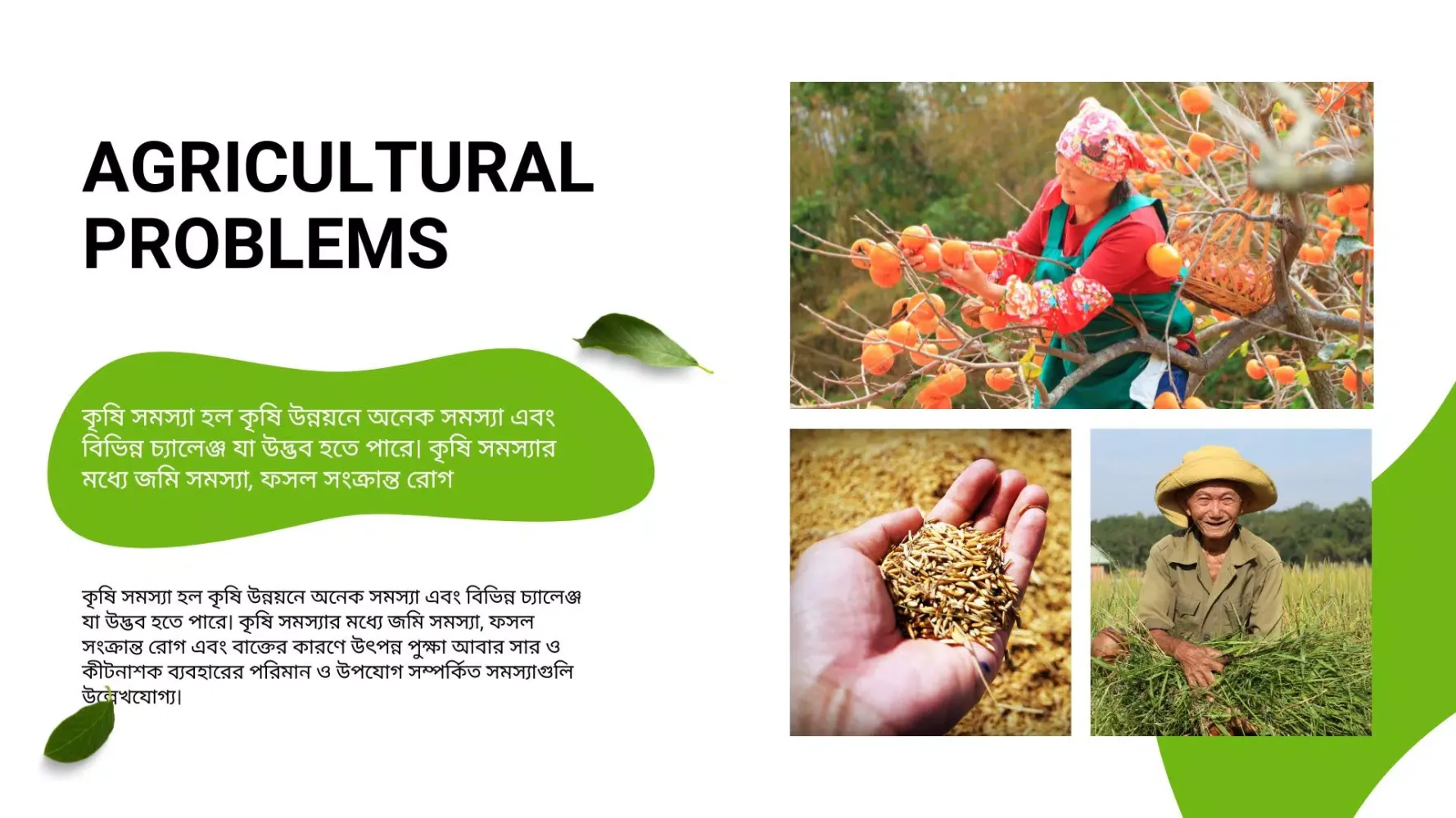Agri Problem - Crop Doctor应用截图
