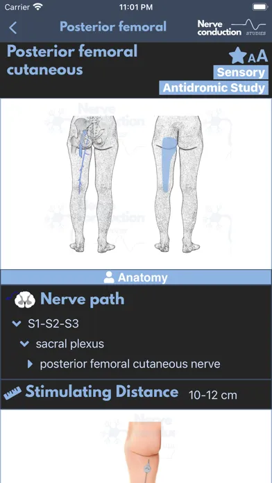 Nerve Conduction Studies سکرین شاٹس